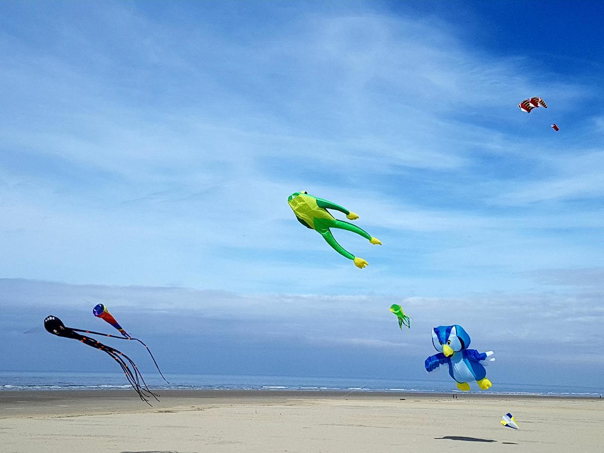 Les Coquillages, 2 Salles De Bain, Emplacement Ideal Berck エクステリア 写真