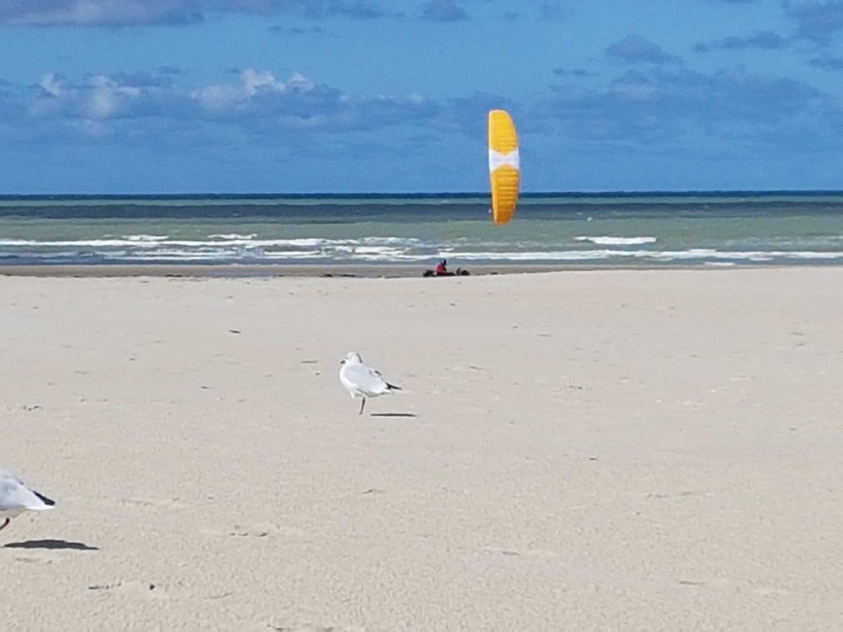 Les Coquillages, 2 Salles De Bain, Emplacement Ideal Berck エクステリア 写真